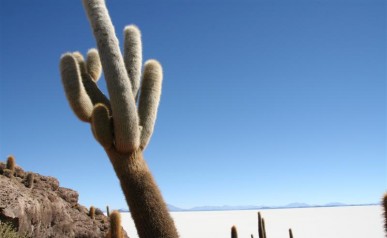 Salar de Uyuni
