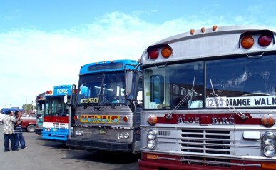 Belize bus