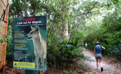 Fraser Island