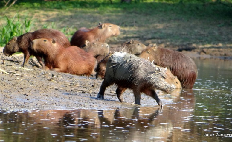 PERU - BOLIWIA  Przygoda w Królestwie Słońca