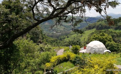 29-IMG_20200807_145051