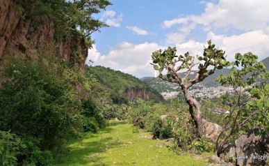 31-IMG_20200807_155426