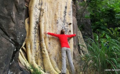 41-IMG-20200809-WA0044