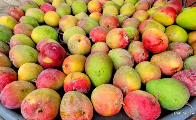 03-20220118_140611~2