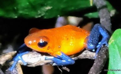 09-20220118_172535~3