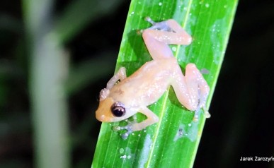 10-20220118_182141~2