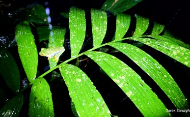 11-20220118_182727_03