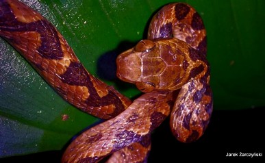 64-IMG-20220127-WA0007