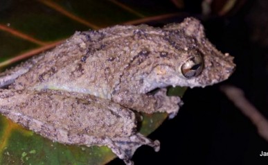 65-IMG-20220127-WA0006