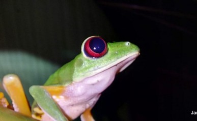 66-IMG-20220127-WA0010