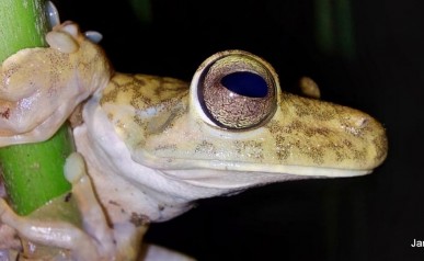 67-IMG-20220127-WA0011