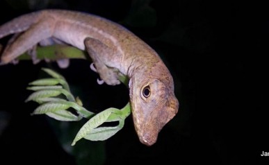 68-IMG-20220127-WA0012