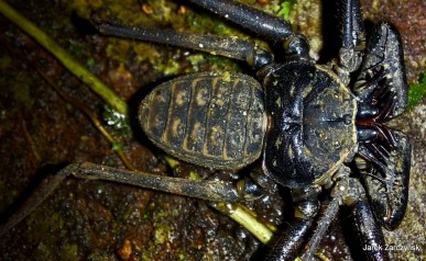 70-IMG-20220127-WA0008