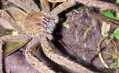 72-IMG-20220127-WA0004