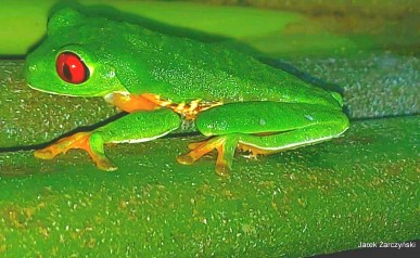 75-IMG-20220128-WA0005