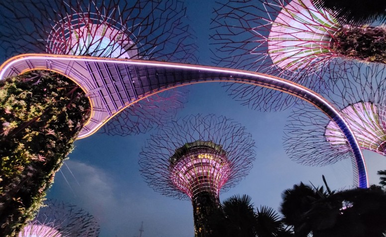 NOWA ZELANDIA - Wielka Pacyficzna Przygoda