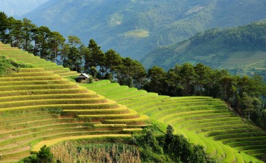 vietnam-8400803_1280